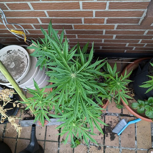 PXL_20240703_110010748