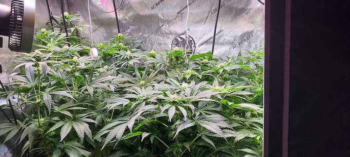 Growreport Bild 46