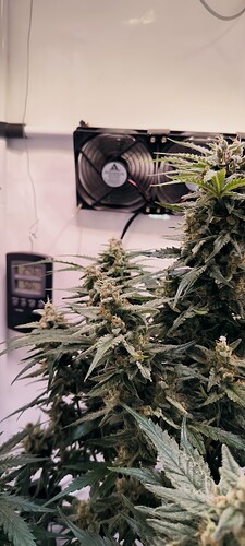 Growreport Bild 6