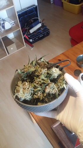 Growreport Bild 75