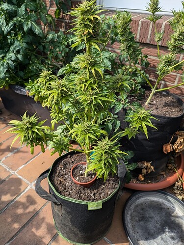 PXL_20240806_135344368