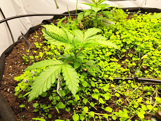 Growreport Bild 10