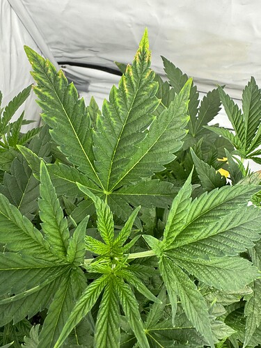 Growreport Bild 5
