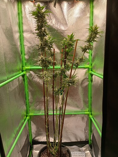 Growreport Bild 17