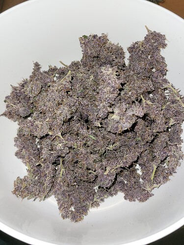 Growreport Bild 22