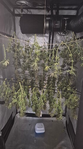 Growreport Bild 1