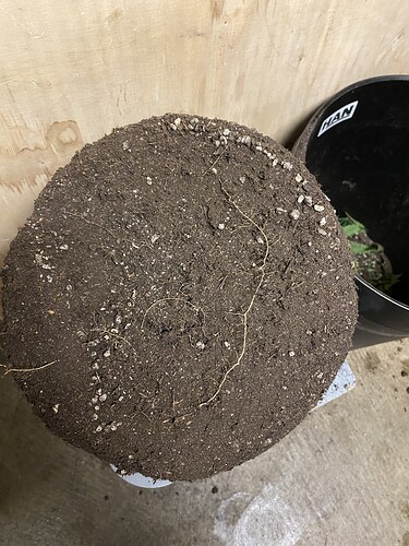 Growreport Bild 25