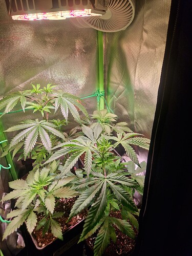 Growreport Bild 8