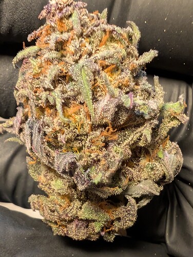 Growreport Bild 6