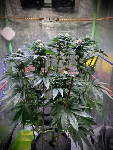 Growreport Bild 10