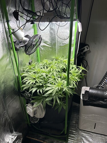 Growreport Bild 54