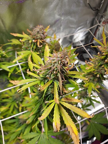 WhatsApp Image 2024-09-04 at 22.34.09 (1)