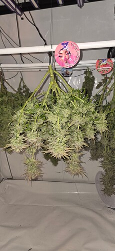 Growreport Bild 12