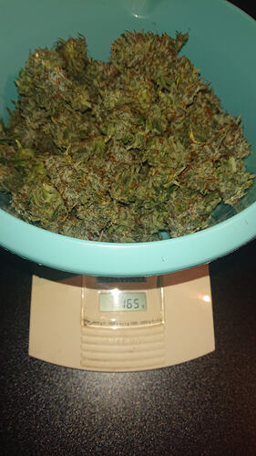 DSC_4566_1772822966121