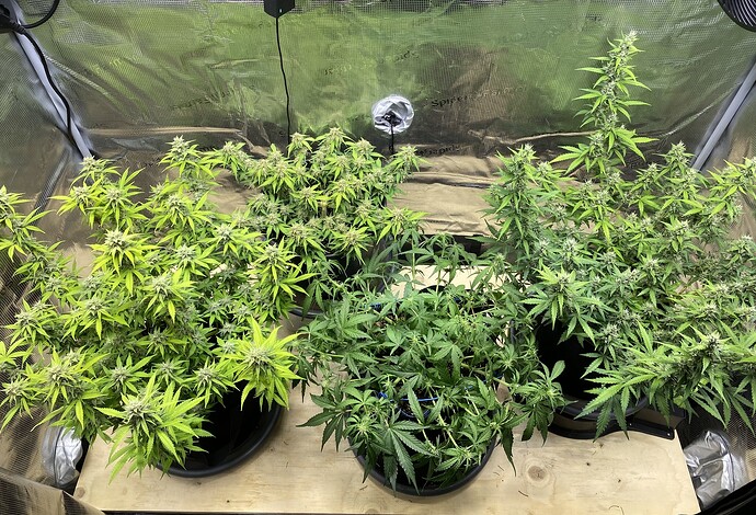Growreport Bild 20