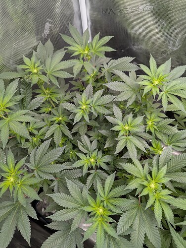 PXL_20250710_180822689