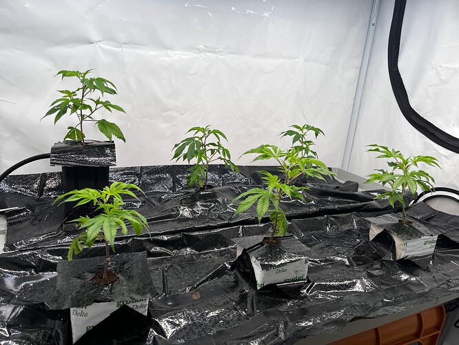 Growreport Bild 23