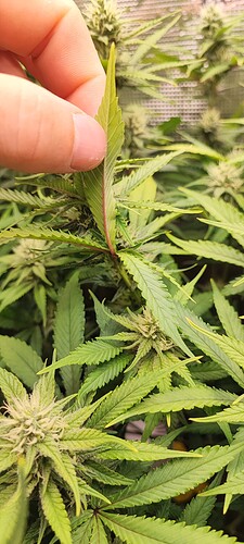 Growreport Bild 10