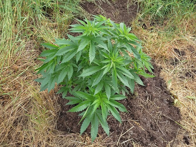 Growreport Bild 27