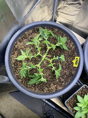 Growreport Bild 15