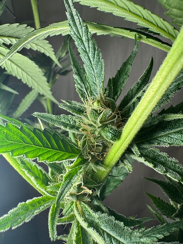 Growreport Bild 11