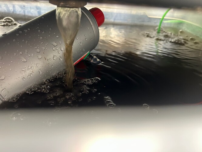 Growreport Bild 84
