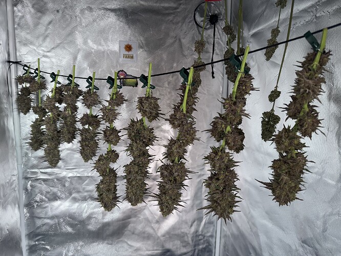 Growreport Bild 26