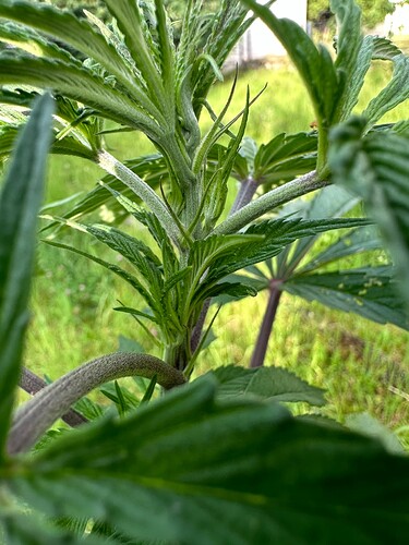 Growreport Bild 5