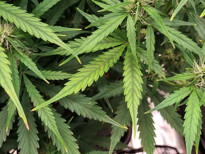 Growreport Bild 15