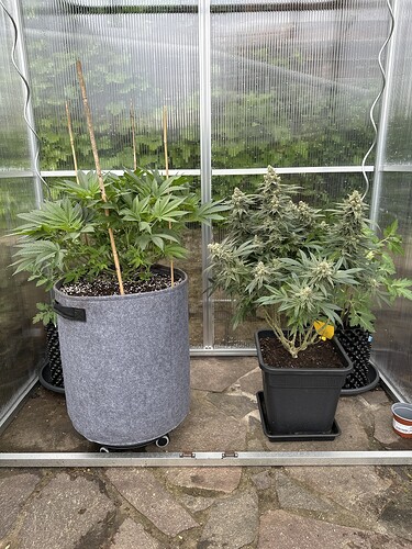 Growreport Bild 12