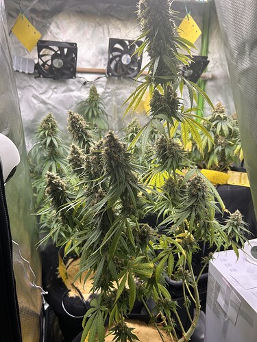 Growreport Bild 1