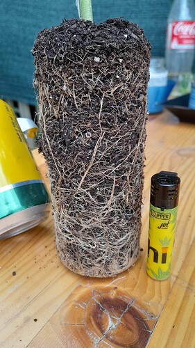 Growreport Bild 22
