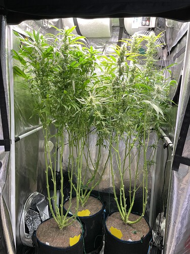 Growreport Bild 5
