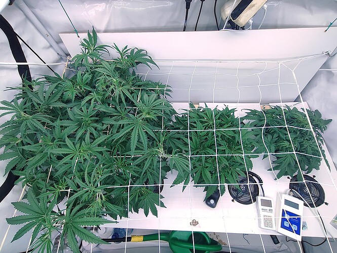 Growreport Bild 9