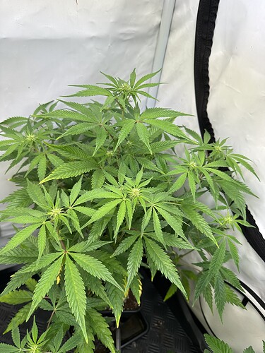 Growreport Bild 12