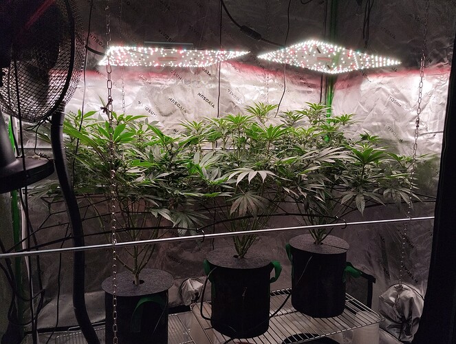 Growreport Bild 17
