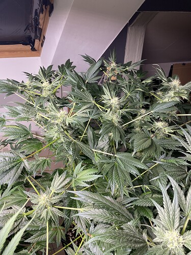 Growreport Bild 23