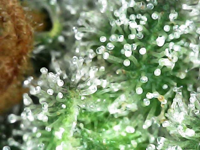 Photo_2025-04-21 12_58_02_061