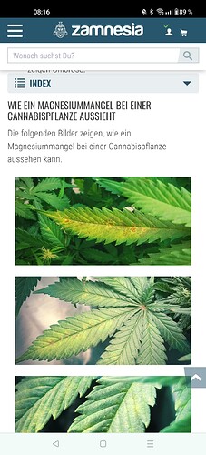 Screenshot_2024-06-04-08-16-50-95_40deb401b9ffe8e1df2f1cc5ba480b12