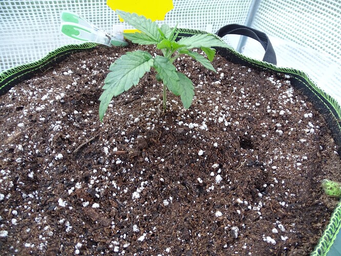 Growreport Bild 27
