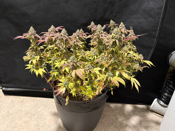 Growreport Bild 24