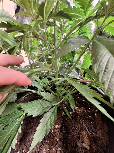 Growreport Bild 22