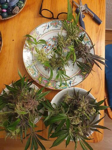 Growreport Bild 11