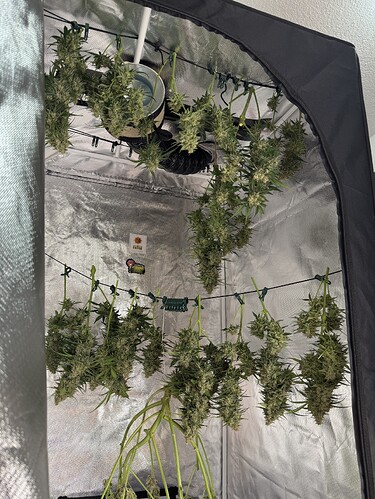 Growreport Bild 12