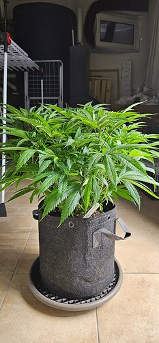 Growreport Bild 17