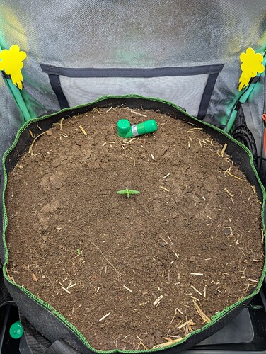 Growreport Bild 1