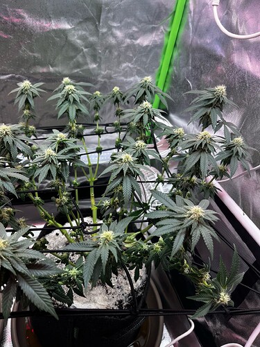 Growreport Bild 10