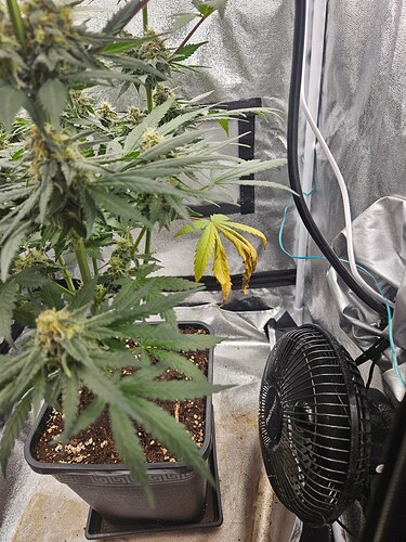 72ccd1d4469d7218a7791adbbe9d14d08a846549