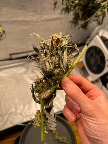 Growreport Bild 3