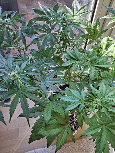 Growreport Bild 8